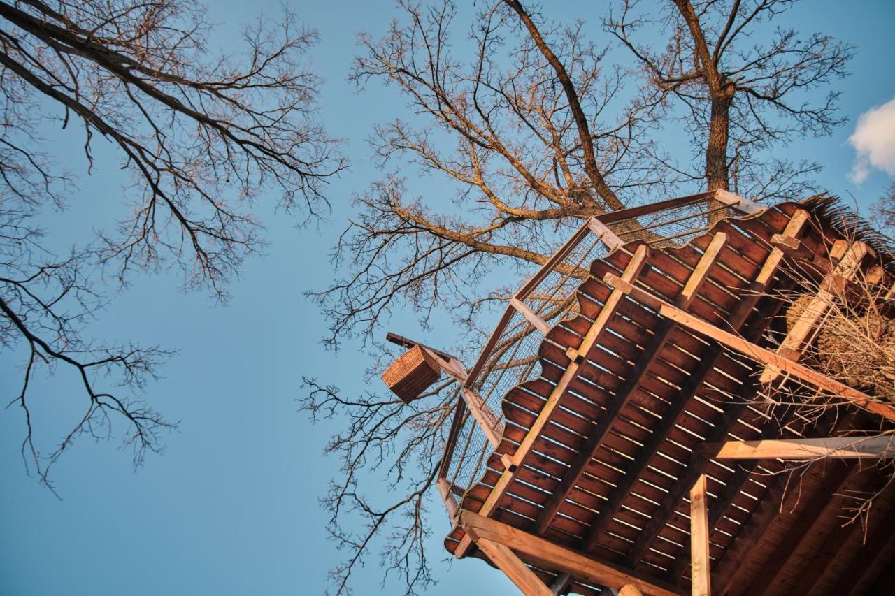 Villa Treehouse Kremilek Jesenice  Exterior foto